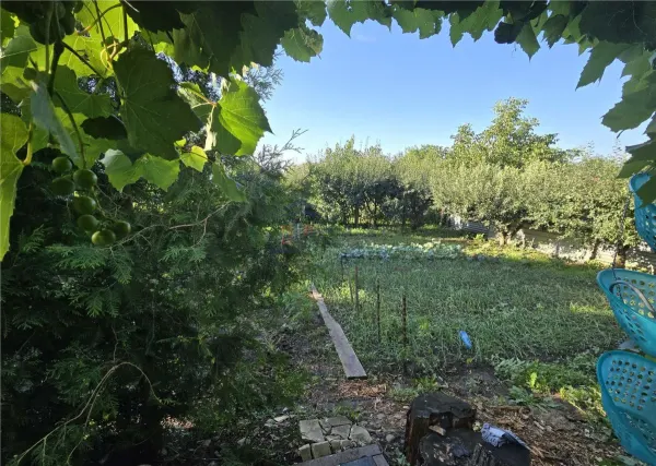 Casă 5 camere Sfântu Ilie - poza 14