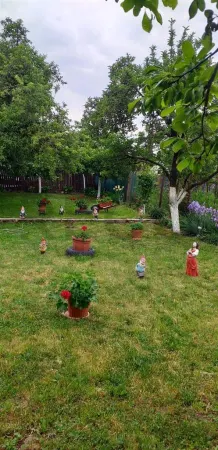 Casă 7 camere Sânmartin - poza 5