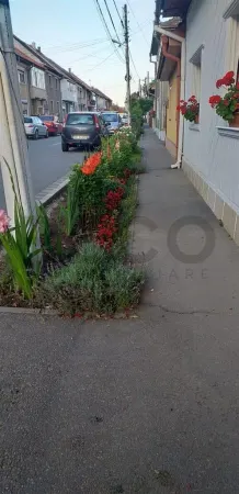 Casă 7 camere Sânmartin - poza 7