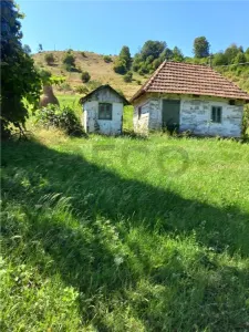 Reco Cabana din lemn in Bulz - foto 1