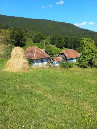 Casă 2 camere Bulz - poza 2