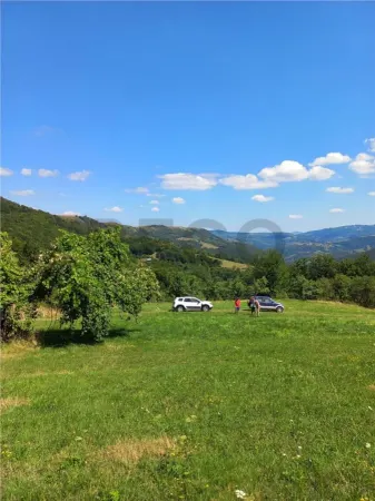 Casă 2 camere Bulz - poza 3
