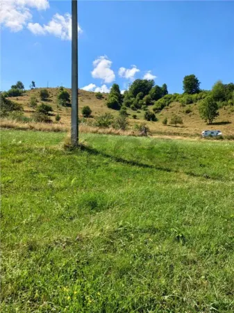 Casă 2 camere Bulz - poza 4