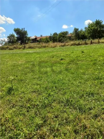Casă 2 camere Bulz - poza 5