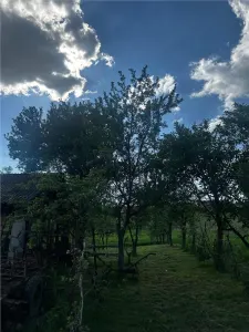 Reco, Casa cu teren, Lugasu de Sus, la 32 km de Oradea - foto 7