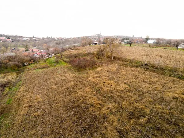 Casă 4 camere Sisterea - poza 14