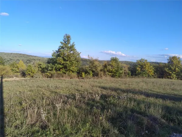 Teren Saldabagiu de Munte - poza 4