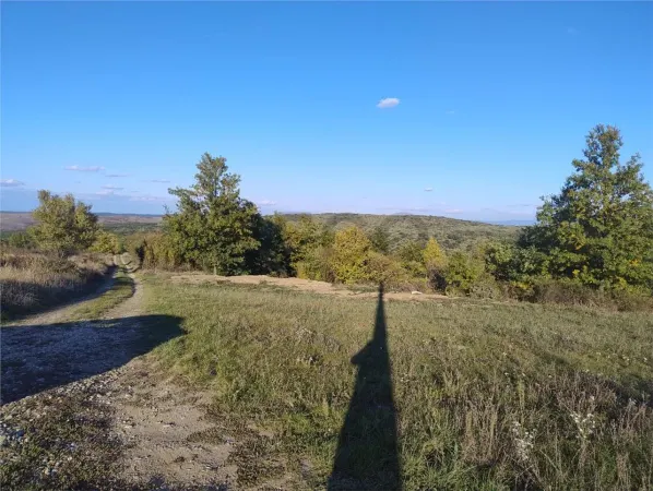 Teren Saldabagiu de Munte - poza 5