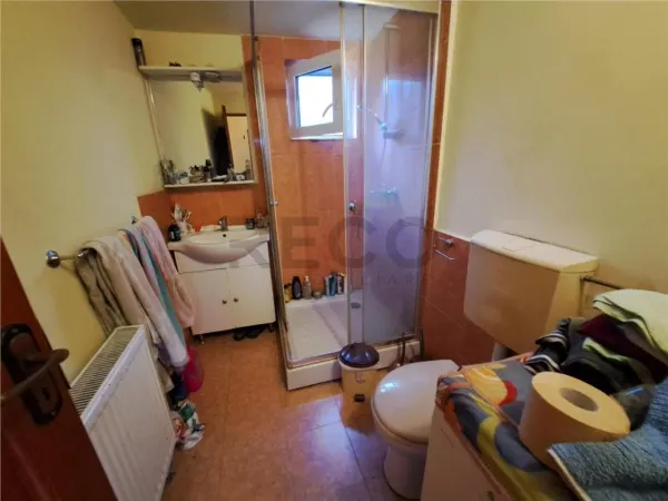 Casă 4 camere Paleu - poza 13