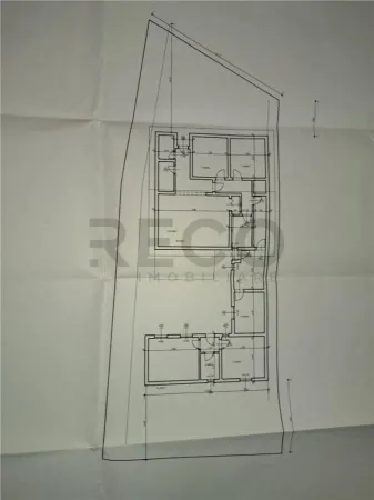 Casă 4 camere Paleu - poza 15