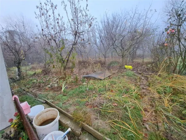 Casă 4 camere Paleu - poza 16