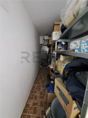 Casă 4 camere Paleu - poza 9