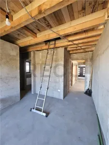 Reco Casa in Paleu cu Toate Utilitatile - foto 11