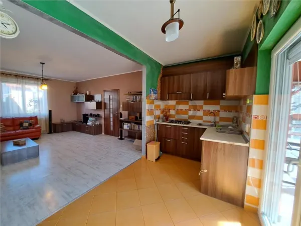 Casă 4 camere Paleu - poza 3