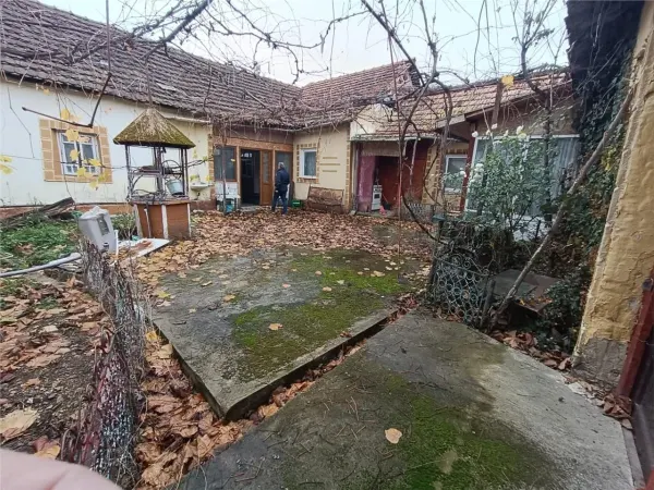 Casă 5 camere Saldabagiu Mic - poza 4