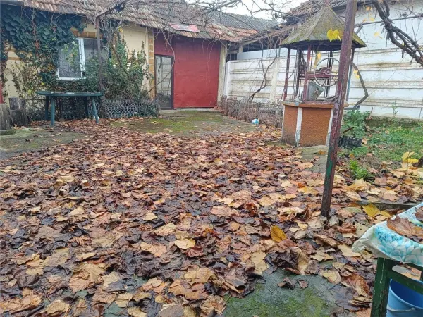 Casă 5 camere Saldabagiu Mic - poza 5