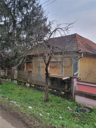 Casă 4 camere Tria - poza 1