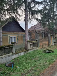 RECO Casa batraneasca cu teren generos in localitatea Tria - foto 2