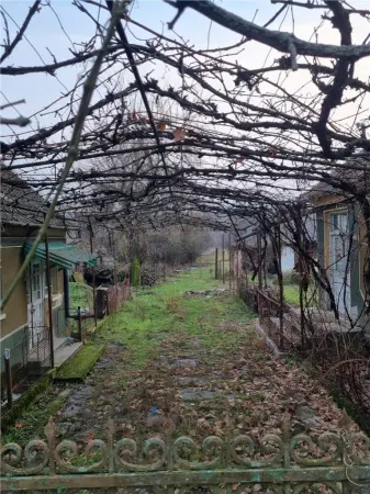 Casă 4 camere Tria - poza 3