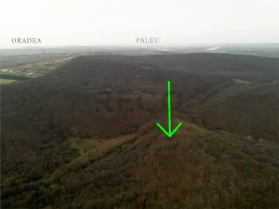RECO . Teren extravilan . Saldabagiu de munte . - Saldabagiu de Munte