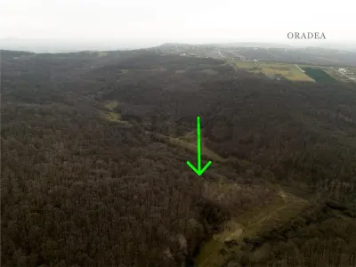 RECO . Teren extravilan . Saldabagiu de munte . - foto 2