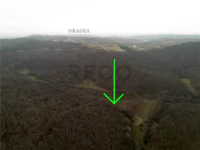 RECO . Teren extravilan . Saldabagiu de munte . - foto 4