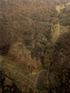 RECO . Teren extravilan . Saldabagiu de munte . - foto 5