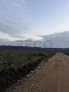 RECO Teren intravilan langa padure Pausa - foto 2