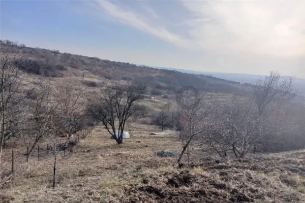 Teren Hidiselu de Sus - poza 3