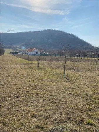 Teren Subpiatra - poza 2