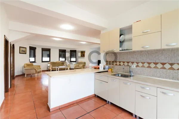 Casă 5 camere Paleu - poza 2