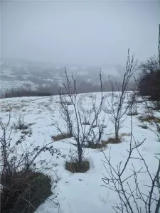 RECO, teren intravilan, Zona Sinteu, Bihor - Sinteu
