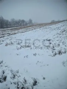 RECO, teren extravilan, Zona Sinteu, Bihor - foto 3