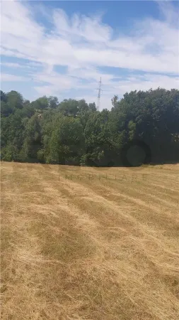 Teren Sinteu - poza 5