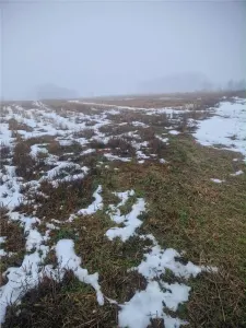 RECO, teren intravilan, Zona Sinteu, Bihor - foto 2