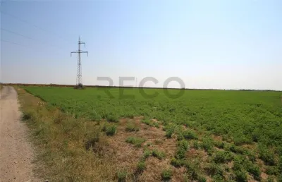 RECO, teren intravilan, Zona Sinteu, Bihor - foto 4