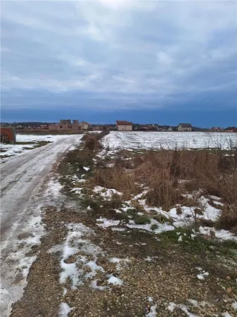 Teren Sânmartin - poza 6
