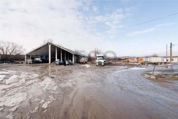 Spațiu industrial Tileagd - poza 7