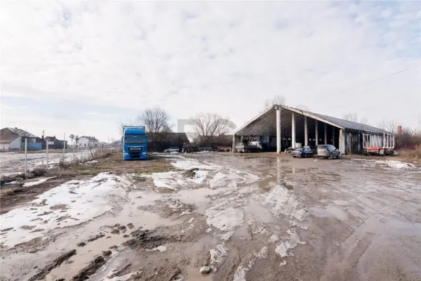 Spațiu industrial Tileagd - poza 8