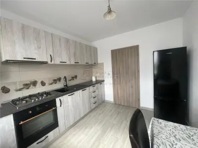 Apartament 2 camere Sfântu Ilie - poza 8