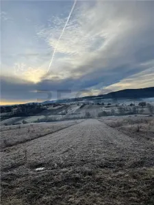 RECO teren Vadu Crisului - foto 3