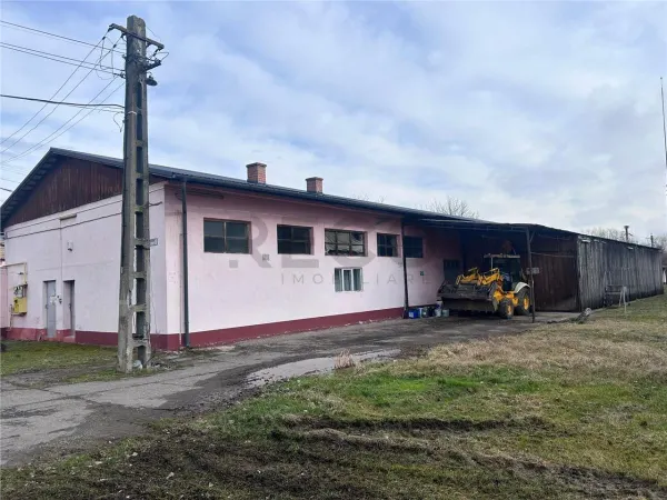 Spațiu industrial Marghita - poza 3