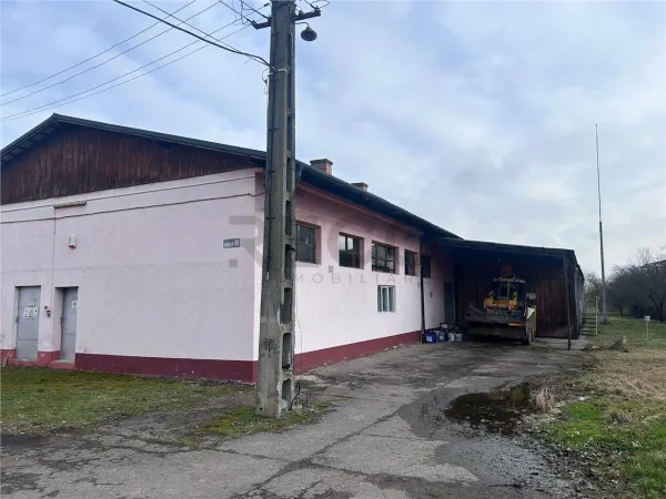 Spațiu industrial Marghita - poza 4