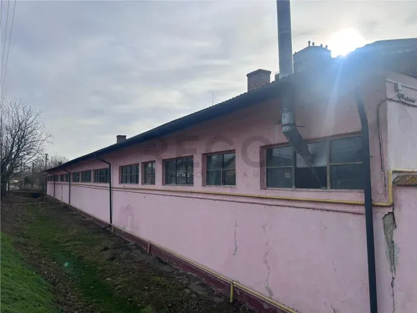 Spațiu industrial Marghita - poza 10