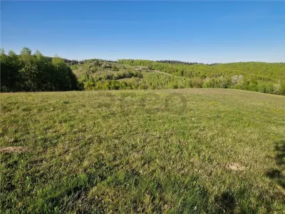 RECO, teren intravilan, Zona Sinteu, Bihor - Sinteu
