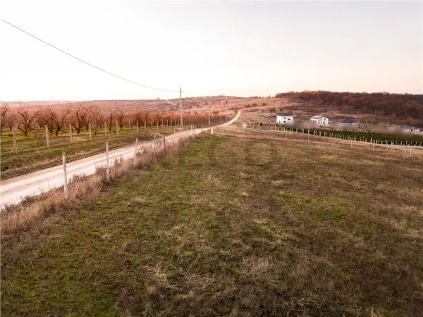 Teren Oradea - poza 10