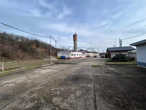Spațiu industrial Marghita - poza 16