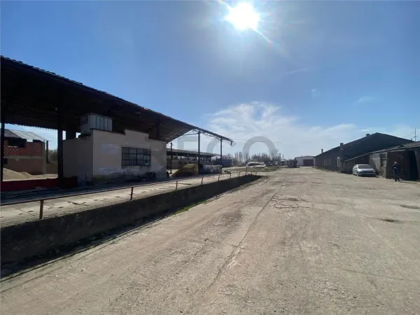 Spațiu industrial Salonta - poza 2