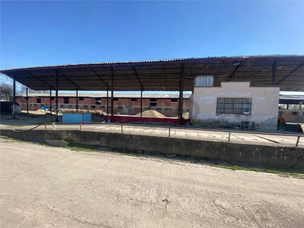 Spațiu industrial Salonta - poza 3