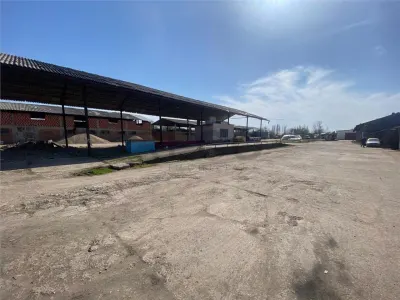 RECO hale cu teren generos Salonta - foto 4